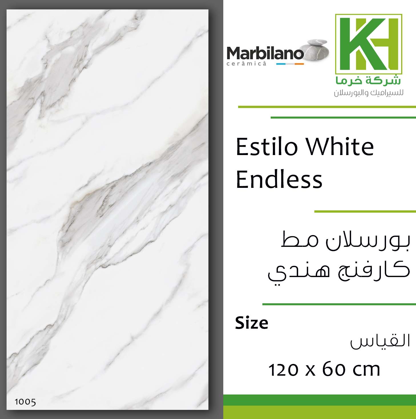 Picture of Indian matt carving porcelain tile 60x120 cm Estilo White Endless